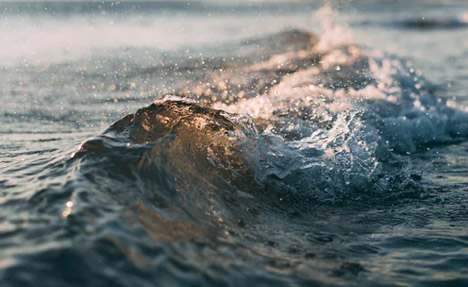 ʲô����Ƥ�|(zh��)����